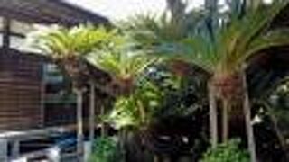 確かに大きいです