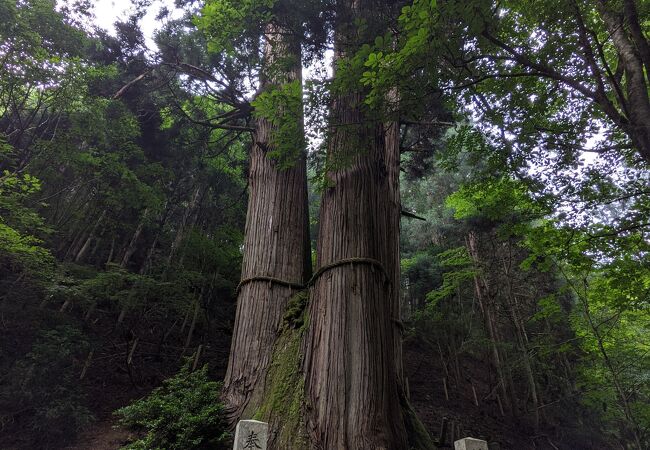 峰定寺