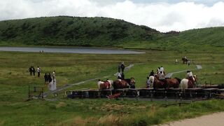 気持ちの良い草原