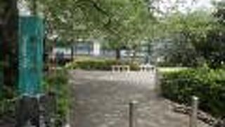 隅田川沿いの公園です。