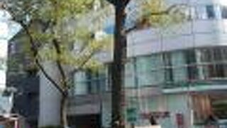 この柳は新橋にあります。