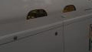 新大阪～東京間は比較的座席が埋まり気味の為、付近に迷惑行為者がいても我慢するしかないかもしれません