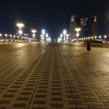 幅の広い橋です