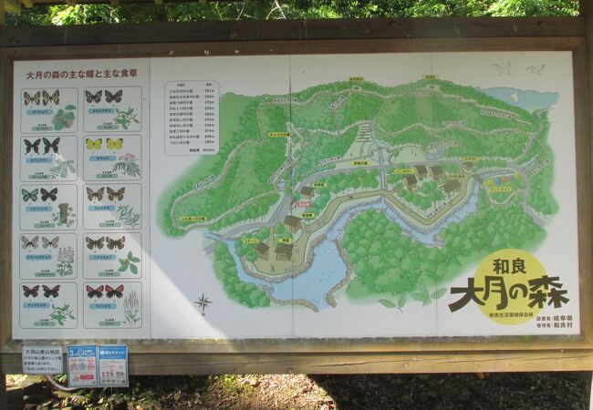 和良大月の森公園キャンプ場