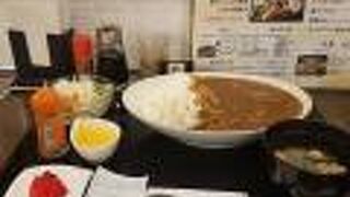 宮崎牛の牛スジカレー、最高に美味しかったです。