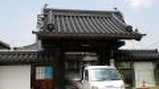 見応えのある山門と本堂です。