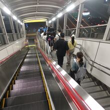 エスカレーター乗り場あたりにエレベーターは見当たらなかった