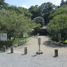 偕楽園(茨城県水戸市)