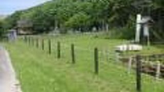 厳島神社がこんな所にあるんだ