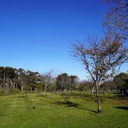 日本で二番目の歴史を誇る牧畜場の跡地を利用した公園