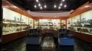 土器類や石器類はおびただしい数ですね