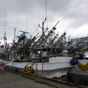 集魚灯を積んだ漁船が何隻も停泊