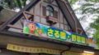 高尾山にある猿の動物園