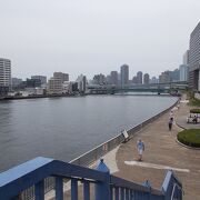 隅田川沿いの遊歩道です。