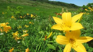 【登山】公共交通機関を利用して縦走を楽しむ