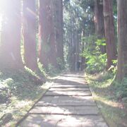 体力があれば自分の足で