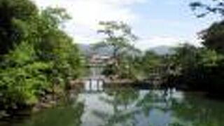 池には大量の魚がいました。