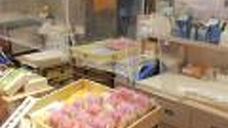 仙太郎 高島屋大阪店