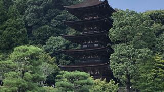 重厚で歴史を感じる五重塔は必見！