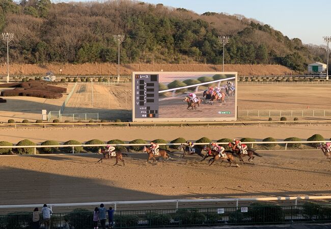 九州唯一の地方競馬