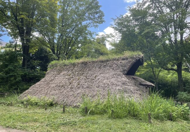 縄文のムラ