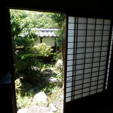 庭先を眺めたところ～