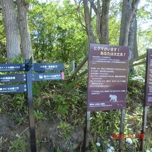 遊歩道を歩き始めて案内板に従い進みました