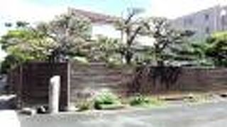 一般公開はしていないようでした。