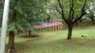 海老名文化財巡りで清水寺公園に寄りました