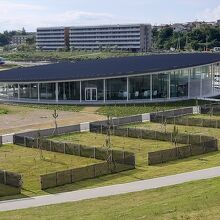 石巻南浜津波復興祈念公園内の≪一丁目の丘≫から見た伝承館。