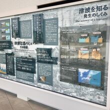 津波のメカニズムに関する展示。