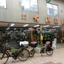 老舗の大型　種・苗・生花店