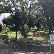 アップダウンのある大きな公園