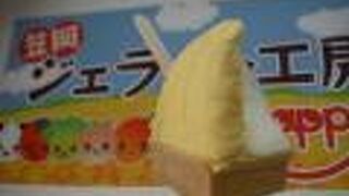 笠岡ジェラート工房happy