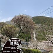 ロープウェイで山頂へ行けます。