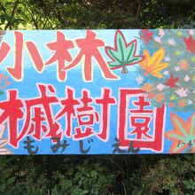 手書きの看板で、気持ちが和みました