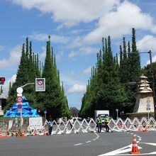 銀杏並木の入り口はお巡りさんがとおせんぼしてた
