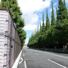 この先は歩道が無いので行けません