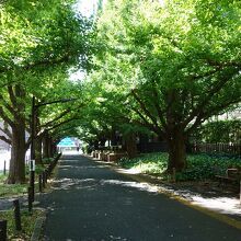 オリンピックボランティアの通勤路になっているようだ