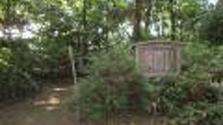 小山全部が貝塚です