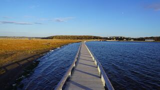 風蓮湖岸を進む木索道を歩きます