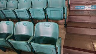 エキシビションマッチの、ドラゴンズ対ファイターズを観戦