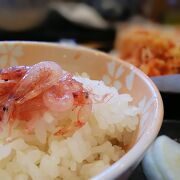 桜エビを食べに！