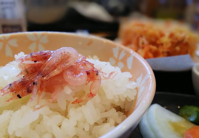 桜エビを食べに！