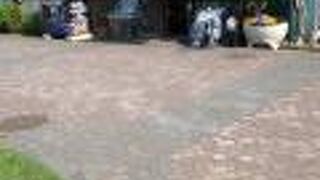 大通公園の真ん中あたり