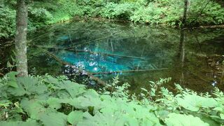 水が透明でした