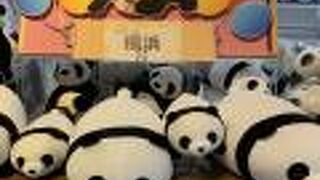 アドベンチャーワールド　売店