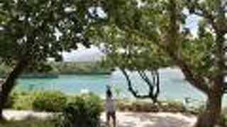 “見慣れた”景色が見られます