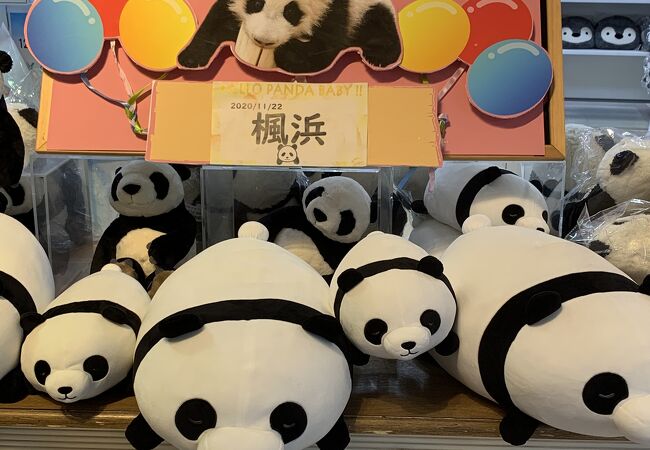 アドベンチャーワールド売店 クチコミ アクセス 営業時間 南紀白浜 フォートラベル
