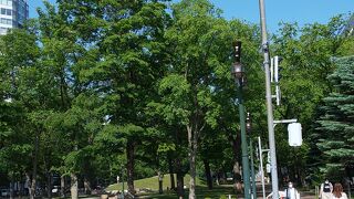 ところどころ横断歩道も